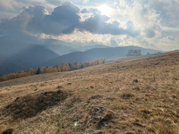 Teren de vanzare ideal pentru cabana Zona Valari, Paltini?(6131 m) - 3