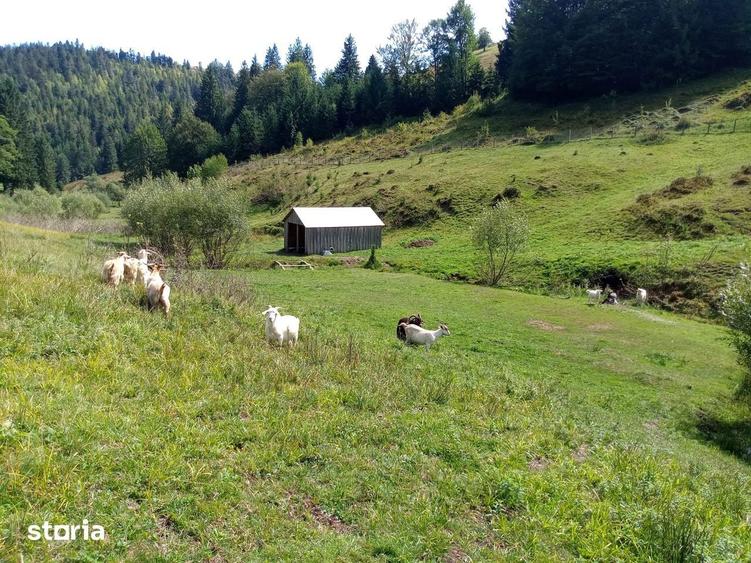 Proprietar, vand teren ?i gospodarie in comuna Arie?eni - 7,5euro/mp - 2