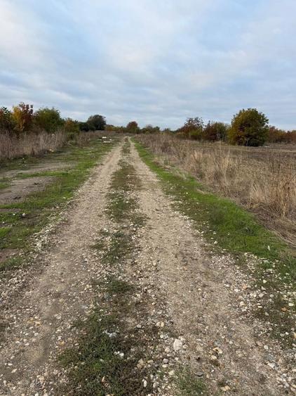 Loturi in rate Com. Cornetu-Jud. Ilfov - 1