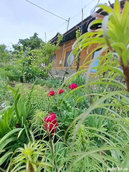 casa, com. Ileana, Calara?i - 1