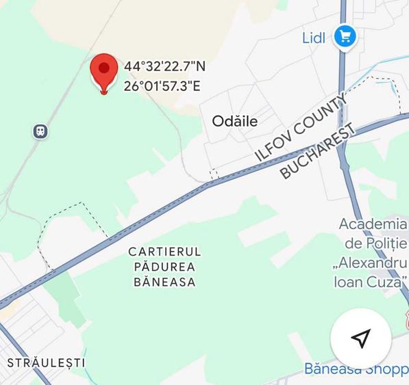 Vanzare teren extravilan Mogosoaia - 1