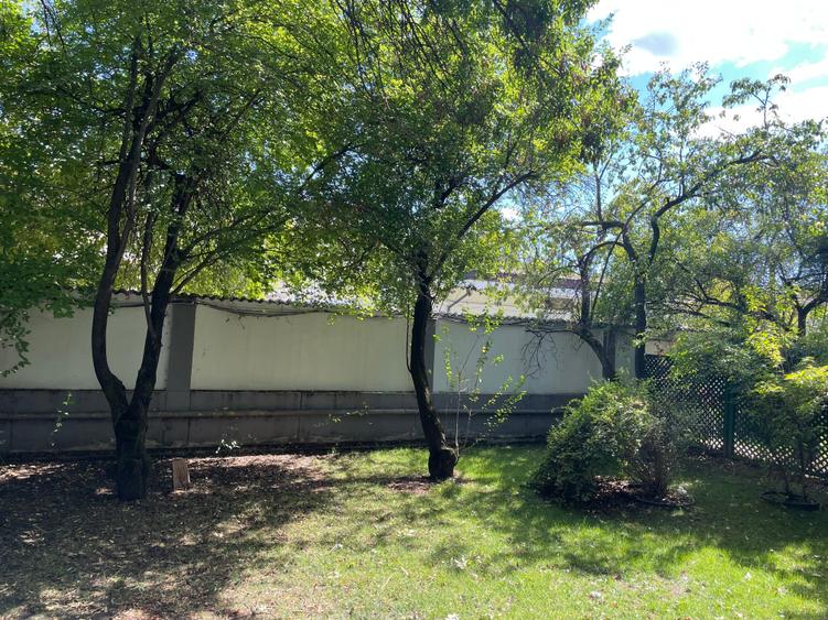 Iancu Nicolae vila 5 dormitoare gradina matura - 11