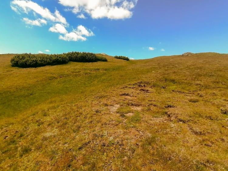terenuri in Bucegi, Zona Alpina Inalta, pentru dezvoltare cabane, vile turistice - 8