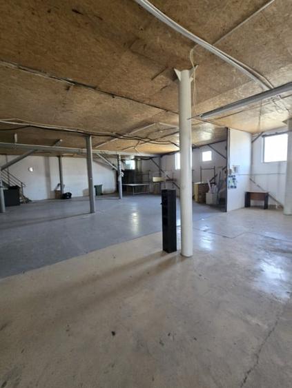 Hala 1000mp zona Bradului - 2