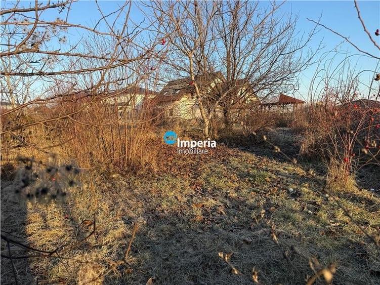 Teren 712/ 1422  mp, plan, Iasi Tudor Neculai,  bransamente - 6