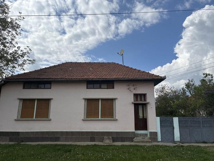 Casa de vanzare , Petroasa Mare , la 15 minute de orasul Lugoj - 2