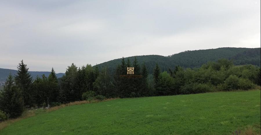 Teren 5023 mp In Bucovina Zona Manastirea Voronet De 07278 - 4