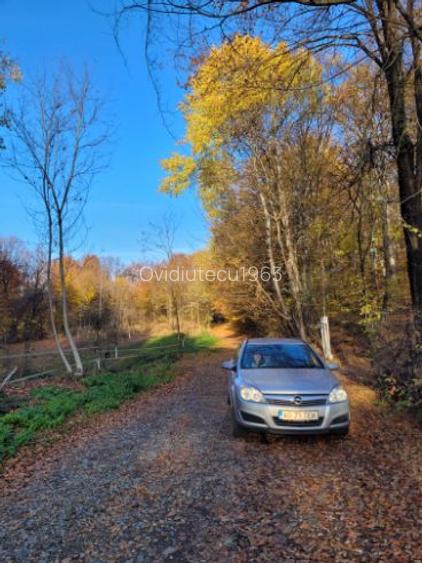 Vand teren cu padure la 5 km de Curtea de Arges,zona deal-munte,zona superba Vand teren cu padure la 5 km de Curtea de Arges,zona deal-munte,zona superba