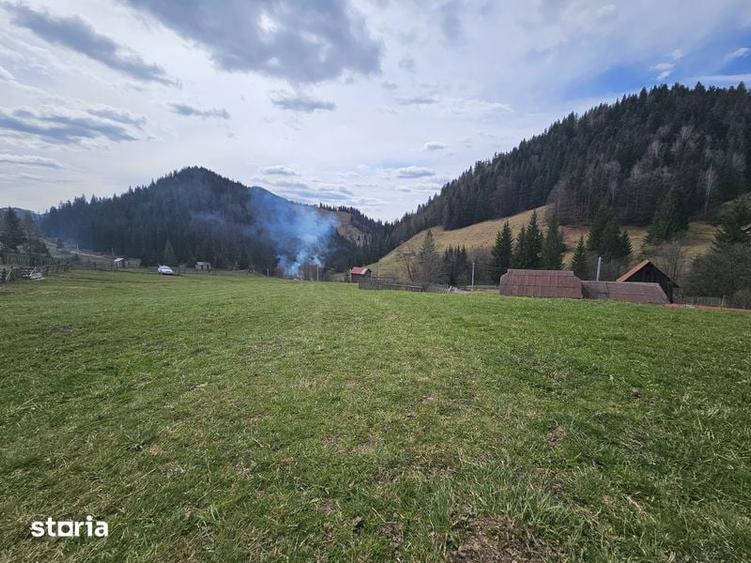 Teren de vanzare in Bucovina Fundu Moldovei - 5