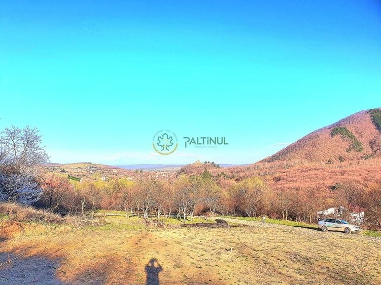 Teren 1.648 mp de v&acirc;nzare - Cisnădioara, Sibiu - 1