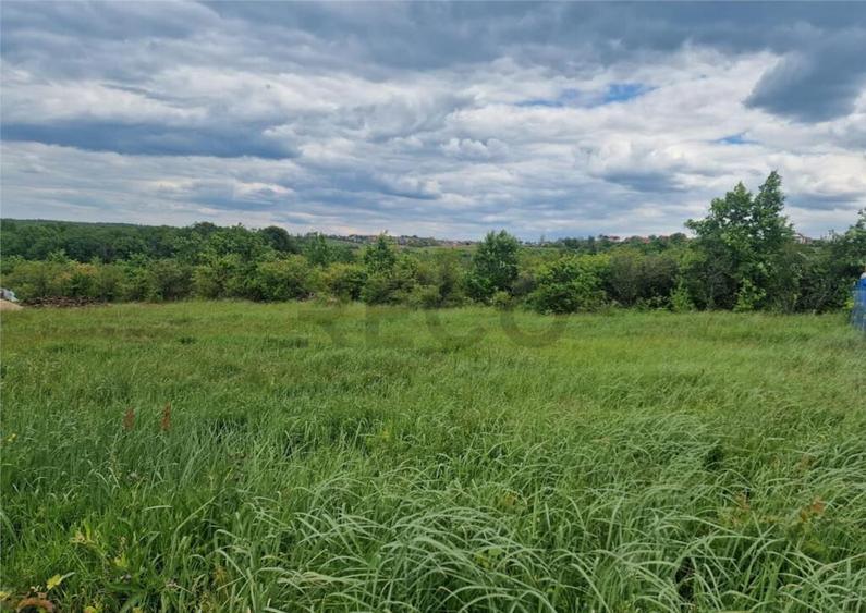 RECO teren intravilan Saldabagiu de Munte - 3