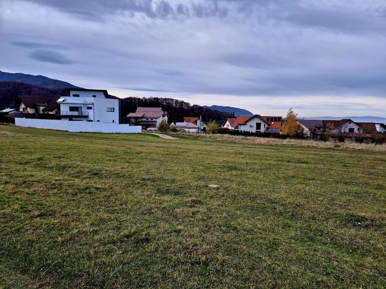 Teren Intravilan superb, 504 mp x 2/ casa locuit Bunloc - 8