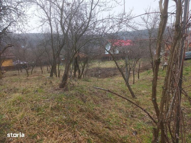 Teren intravilan - 6