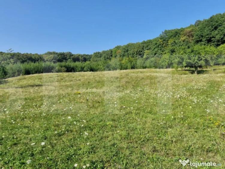 Teren de vanzare, 1Ha in apropiere de cartierul RAAL - 4