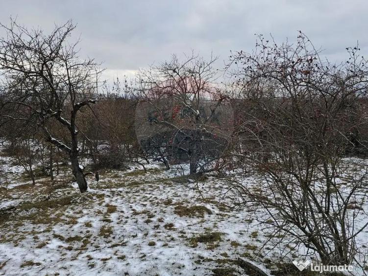 Teren 10,000mp Rada?eni / ?oseaua DN2-E85, jude?ul S... - 7