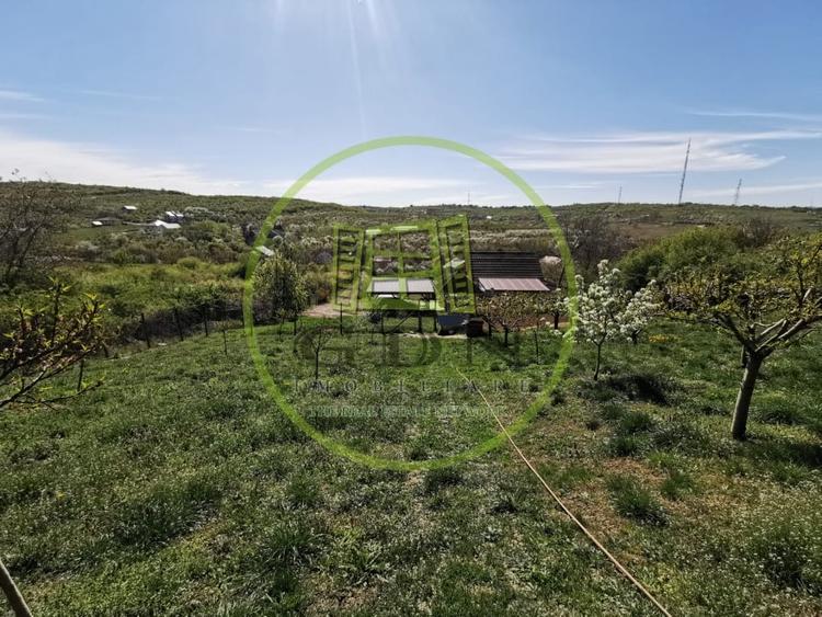 Teren intravilan si extravilan cu anexa gospodareasca amenajata, cu utilitati - 5
