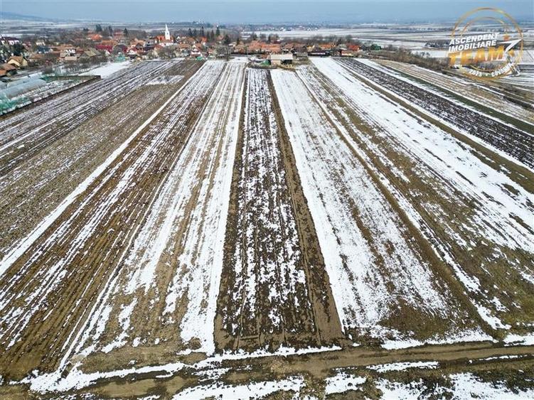 Suprafata intravilan 6.425 mp, oportunitate platforme rezidentiale - 9