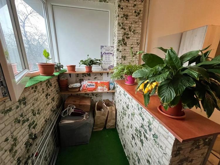 GARSONIERA - TITAN - PIATA MINIS - 5