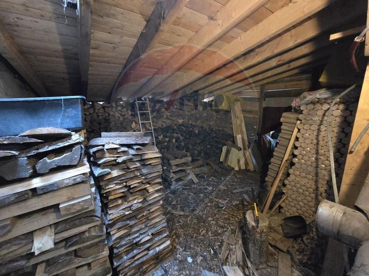 VILA ORHIDEEA  PENSIUNE  DE VANZARE IN STATIUNEA  PALTINIS JUD SIBIU - 33