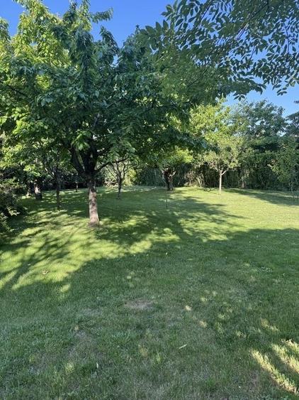 Vila 2005,S+P+E+M,living,dinning,3 dormitoare,3 bai,teren 2090mp,piscina,garaj - 9