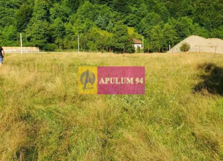 Teren Jude?ul Valcea - Brezoi, Valea lui Stan - 4