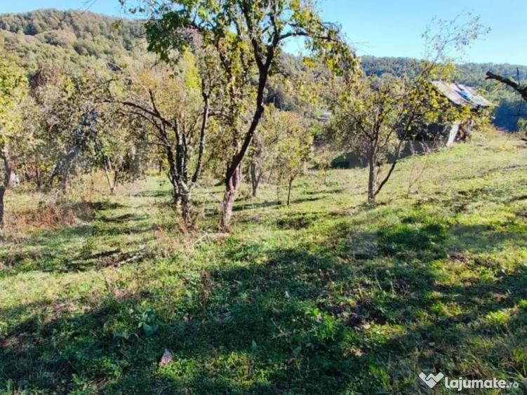 Teren cu priveli?te superba , livada ?i poten?ial casu? - 5