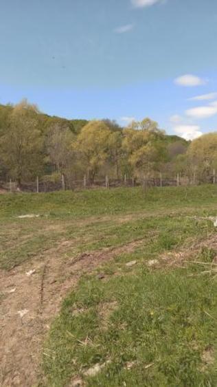 Teren intravilan Valenii de munte - 2