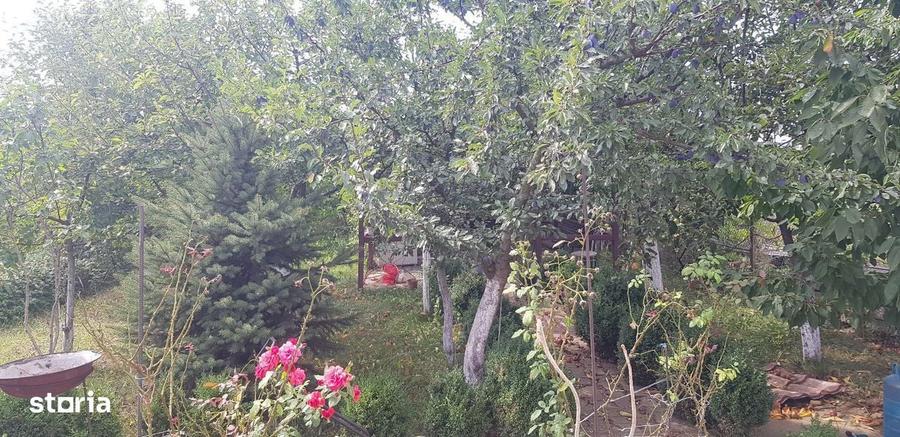 PROPRIETAR: Vila 5 Camere Pantelimon | P+1 (210 mp) + M | Oportunitate - 15