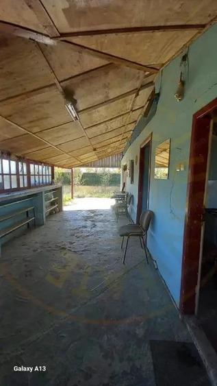 0% COMISION!!! CASA CU LAC IN INIMA PADURII - DEALU BRADULUI - 13