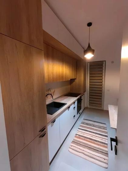 Apartament cu 1 camera, decomandat, zona Podu Ros - 2