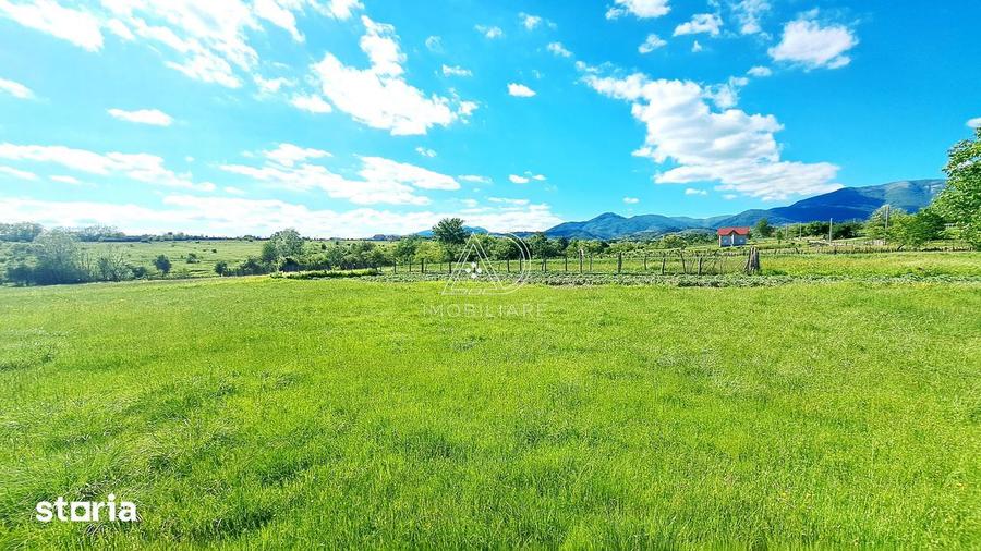 Teren Valea Mare Runcu Gorj Lini?te ?i Natura - 7