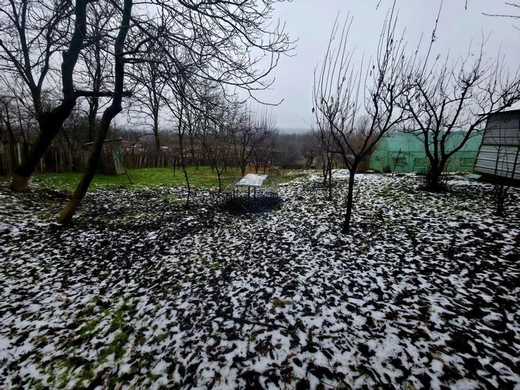 Teren intravilan 4,516mp Doina - 8