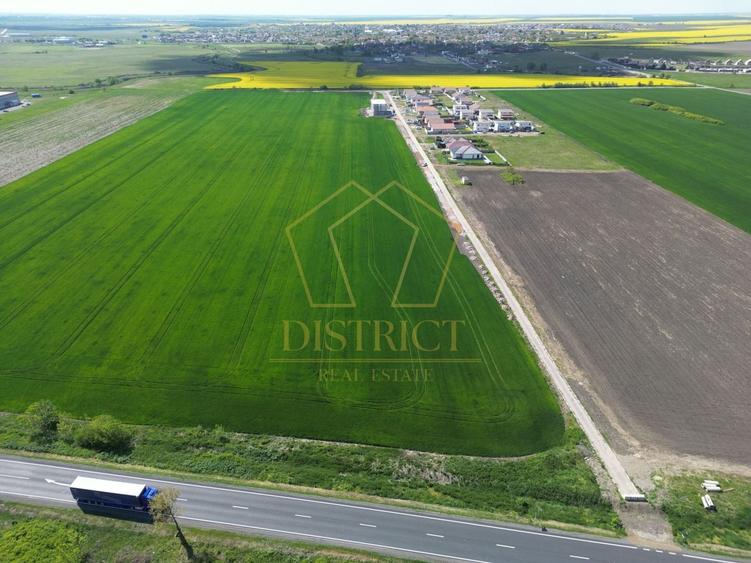 Teren Construcții intravilan de 6411 mp, în Sânandrei