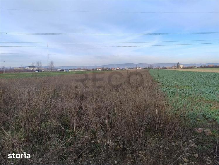 Teren de 5500 mp, în Oșorhei