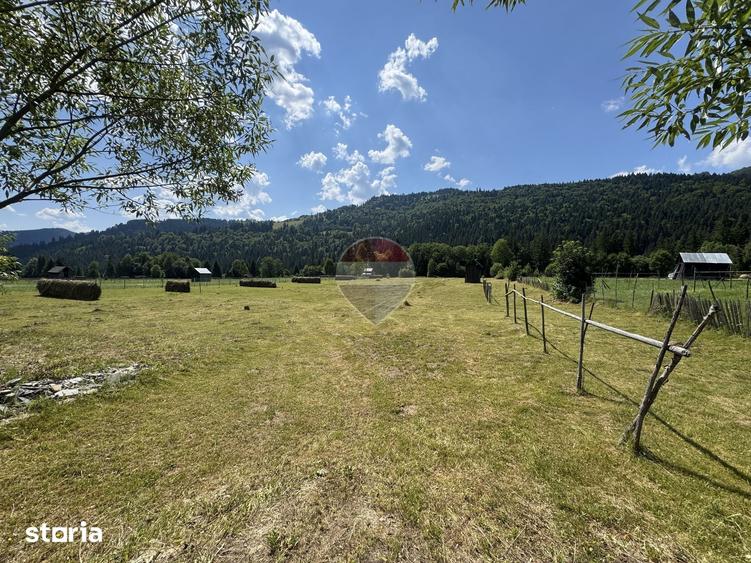 Teren de 2802 mp, în Borca