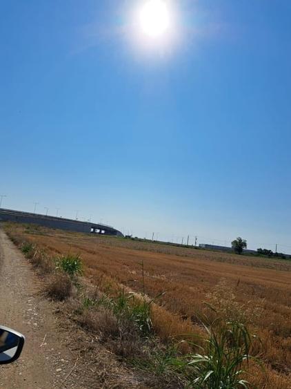 Teren agricol extravilan de 24298 mp, în Șagului