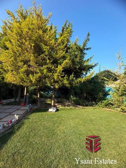 YSAIA IMOBILIARE - CASA DE VANZARE - TEREN 330 MP - ZONA LINISTITA - - 3