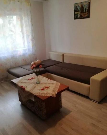 2 camere in zona Medicinei - 4