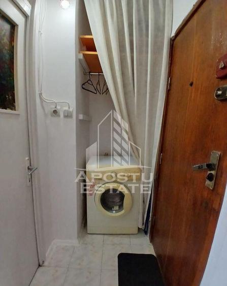Garsoniera Pet friendly, zona Buziasului - 3