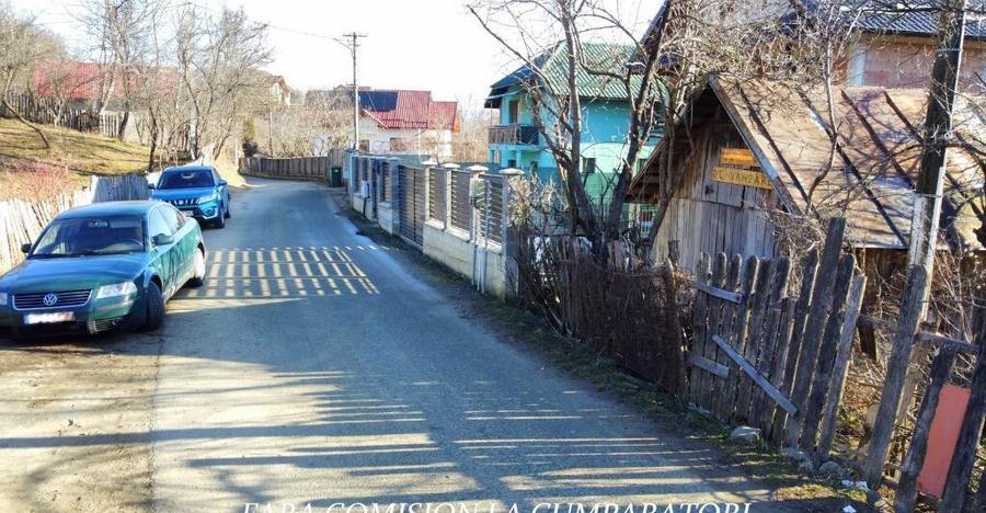 CALIMANESTI, TEREN 1231 MP - 1