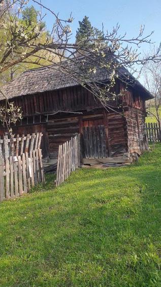 2 camere, 4000 mp,langa lacul Vidraru - 7