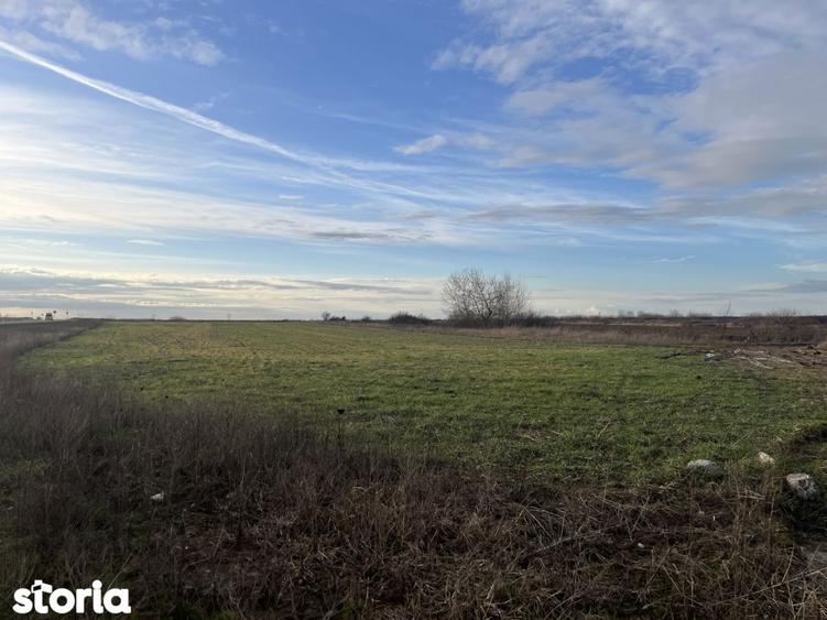 Teren 7481 mp, cu acces facil la Inelul Metropolitan - 1