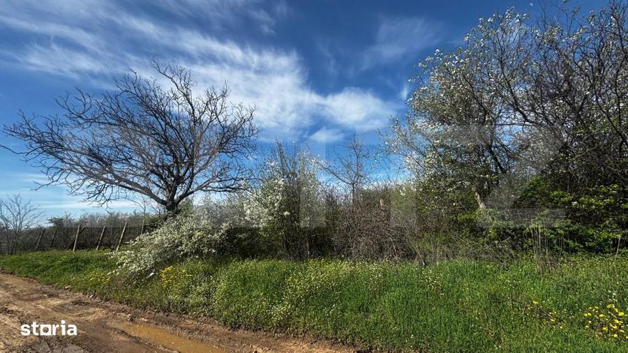 Teren intravilan 2000 mp, front 16,7 ml, vizibilitate la DN, Carcea - 1