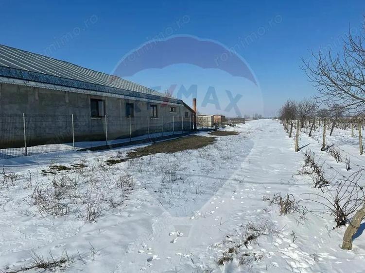 Teren intravilan Rastoaca - Varsatura - 4