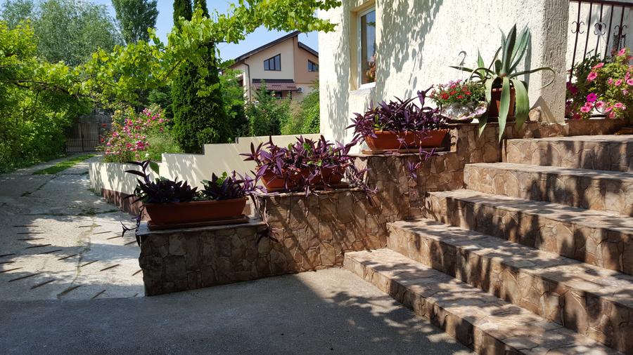 Vanzare  Vile  Pipera - 1