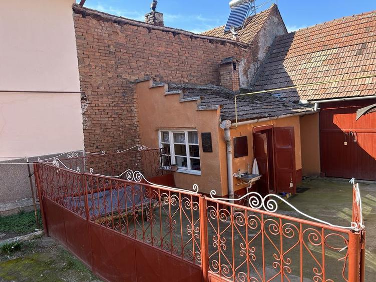 Vand casa la tara Saliste - 2