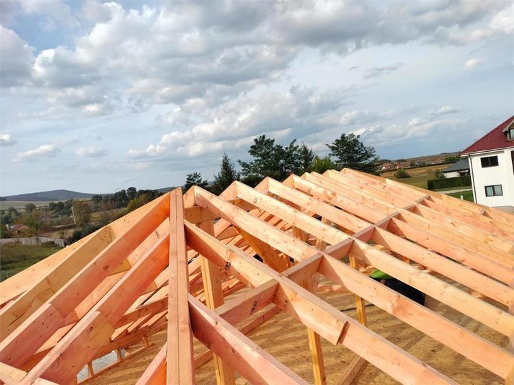 Case din lemn 115 Mp.in tot Jud.Caras Severin - 10