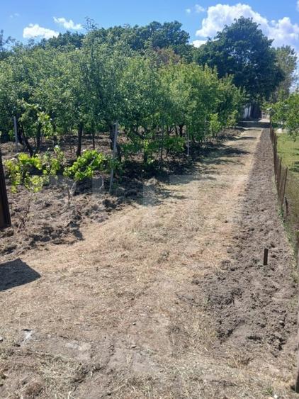 Casa de vanzare 800 mp curte, 32 mp utili, Bratovoești - 1