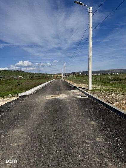 Loturi de 500MP zona Walter - Prelungirea Linistii - 3