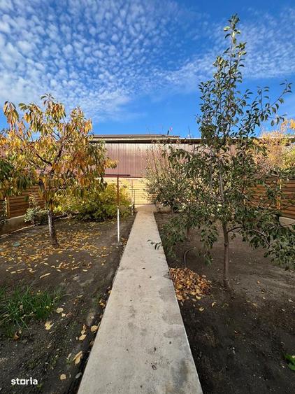 Casa de vanzare + 2 spa?ii comerciale func?ionale + foi?or acoperit - 12